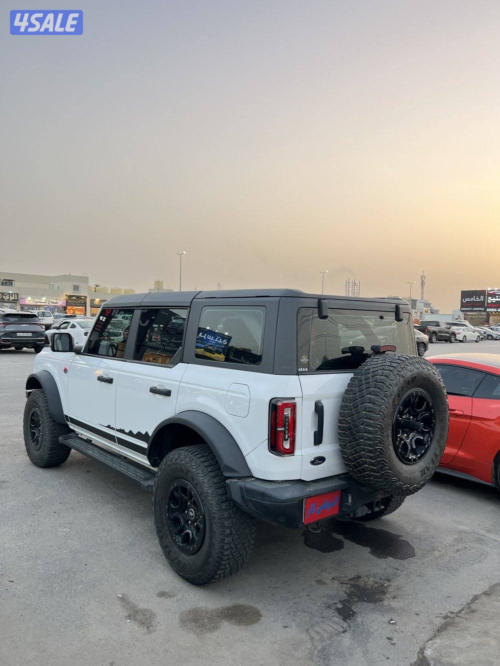 برونكو ويلدتراك 20224