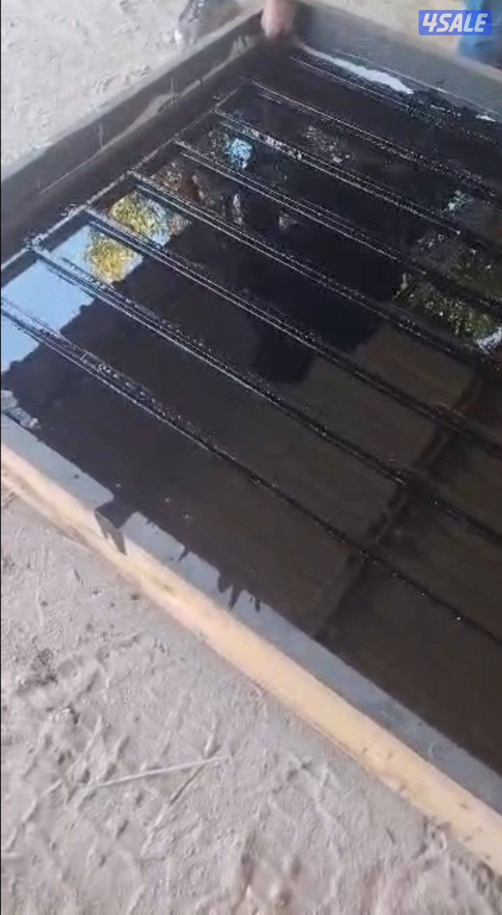 شبوك كفاله سنتين2