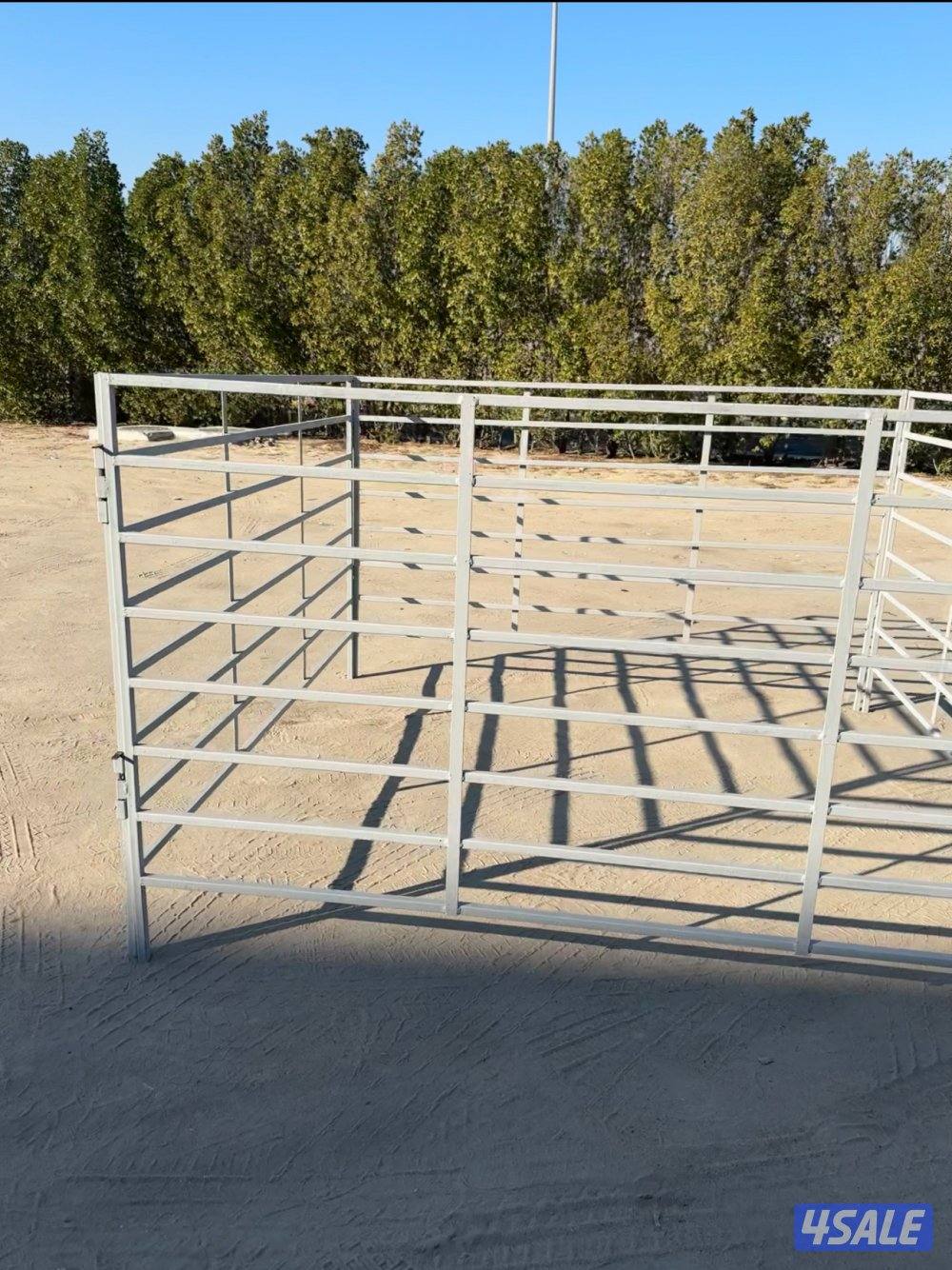 شبوك كفاله سنتين5