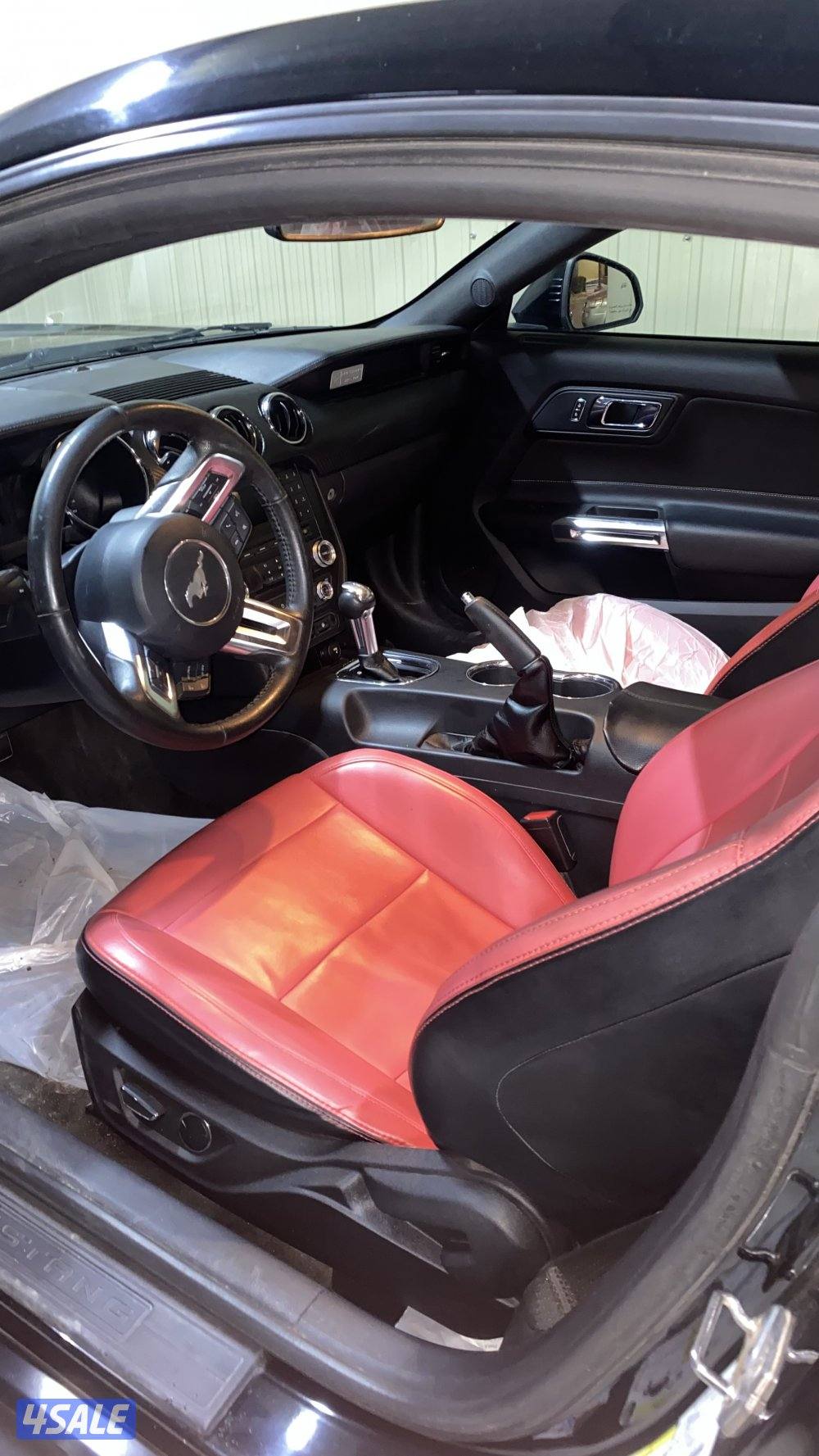 موستنق V6 سبيشل ادشن1