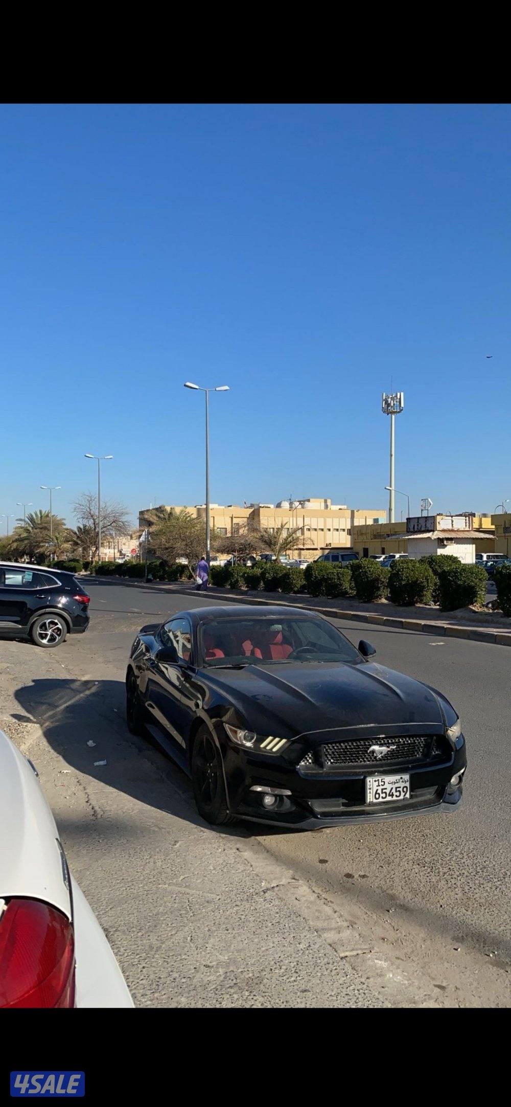 موستنق V6 سبيشل ادشن5