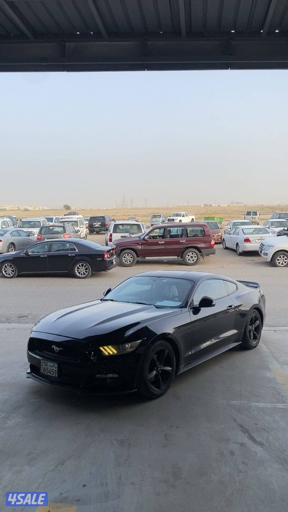 موستنق V6 سبيشل ادشن6