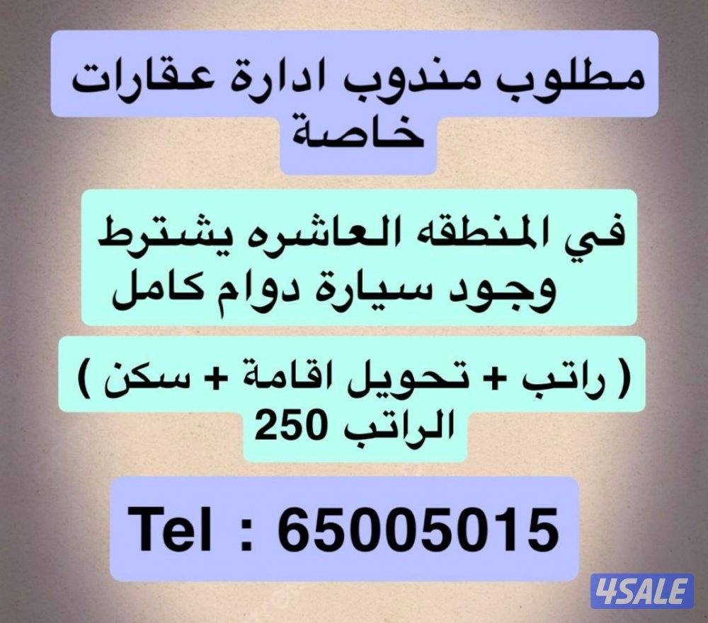 مطلوب مندوب عقارات إدارة خاصة0