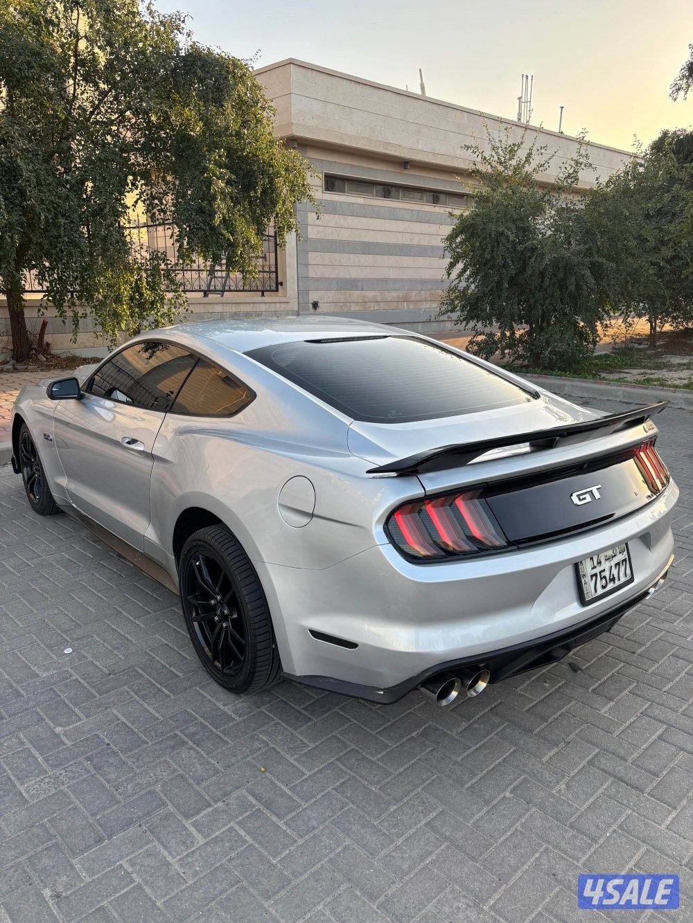 موستنق 5.0 قير عادي 20171