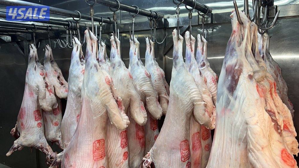 صقرالشامخ للحوم0