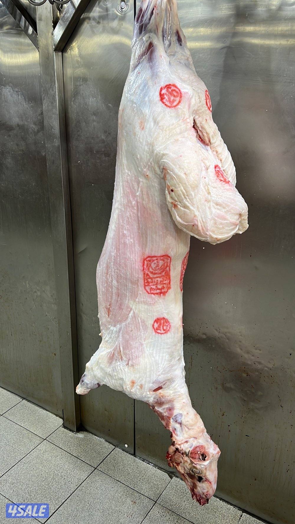 صقرالشامخ للحوم1