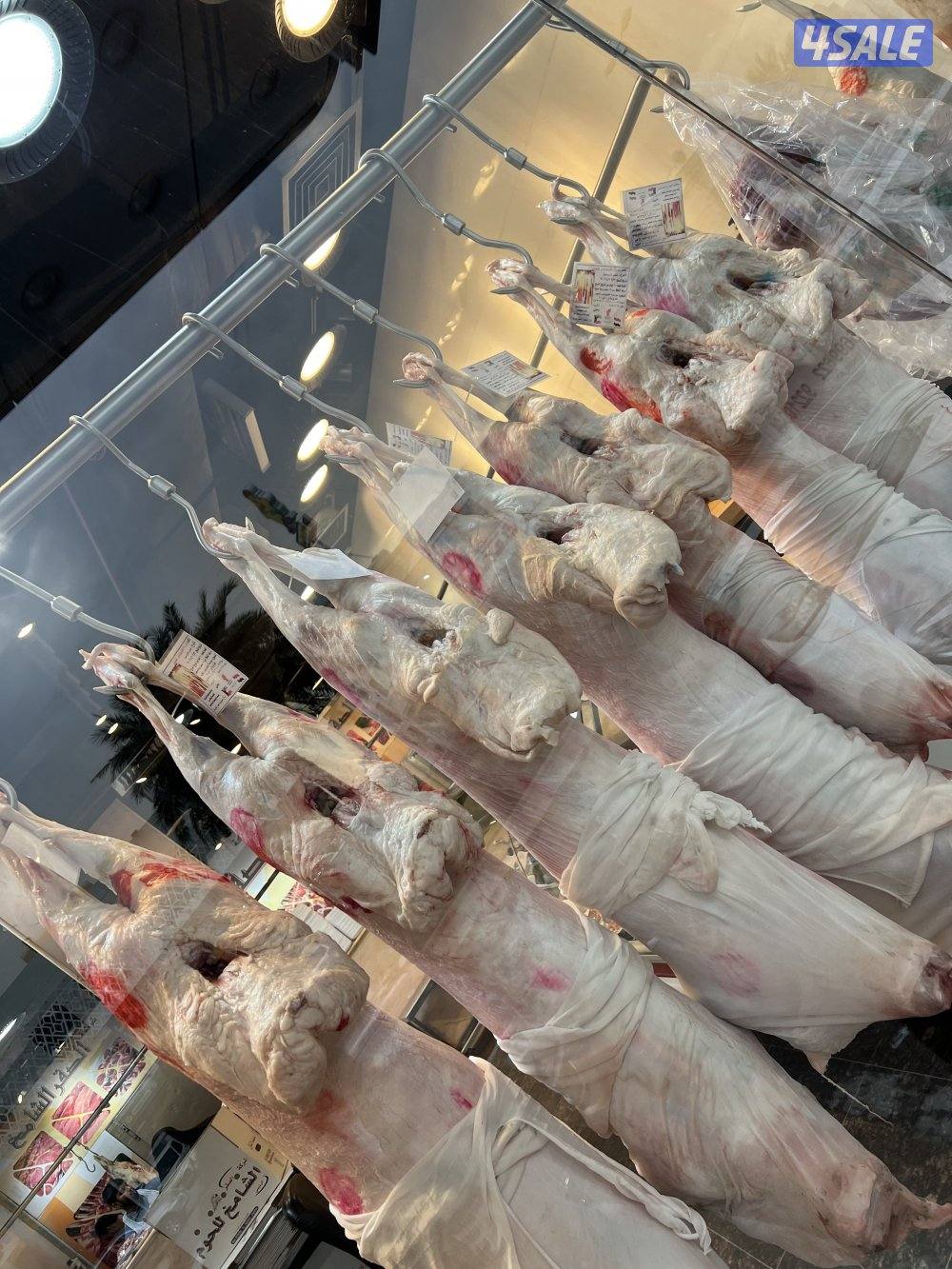 صقرالشامخ للحوم3