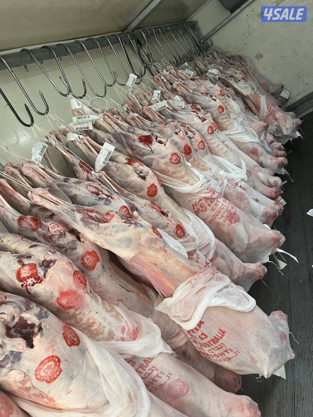 صقرالشامخ للحوم5