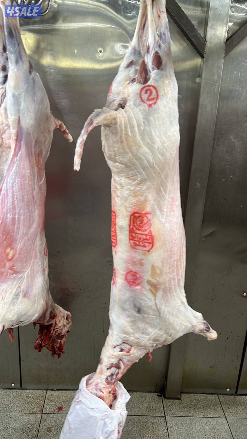 صقرالشامخ للحوم6