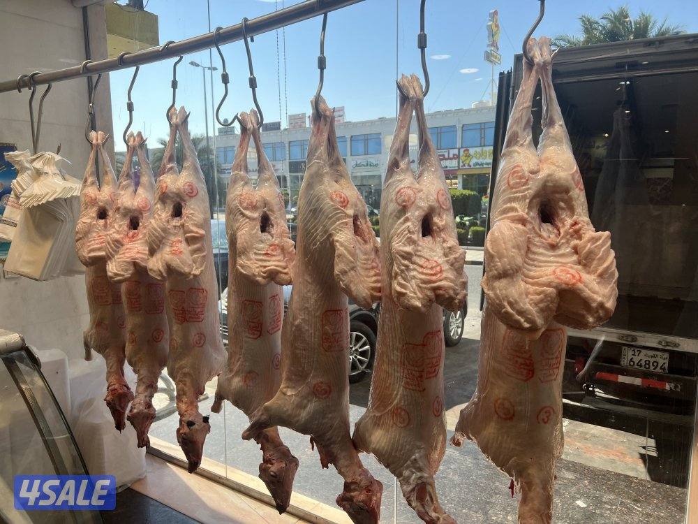 صقرالشامخ للحوم8