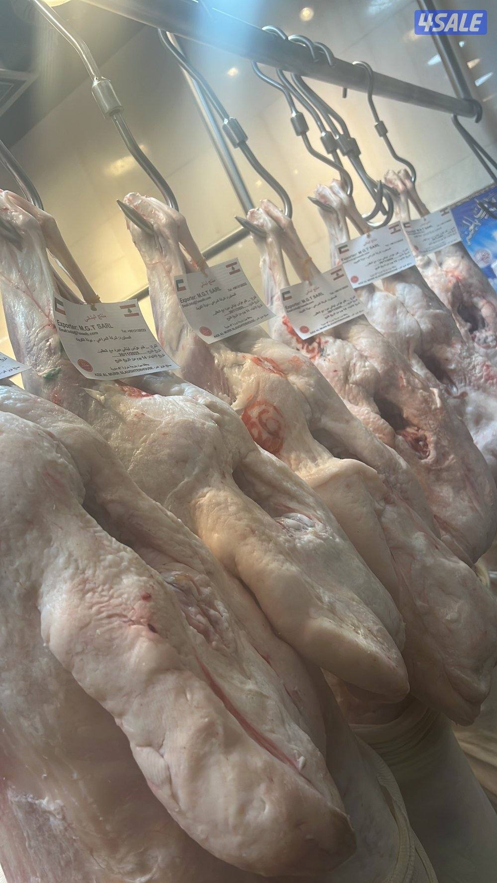 صقرالشامخ للحوم9