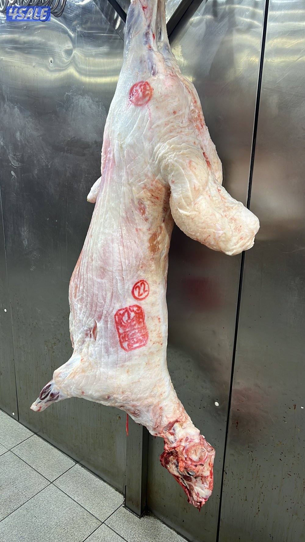 صقرالشامخ للحوم10