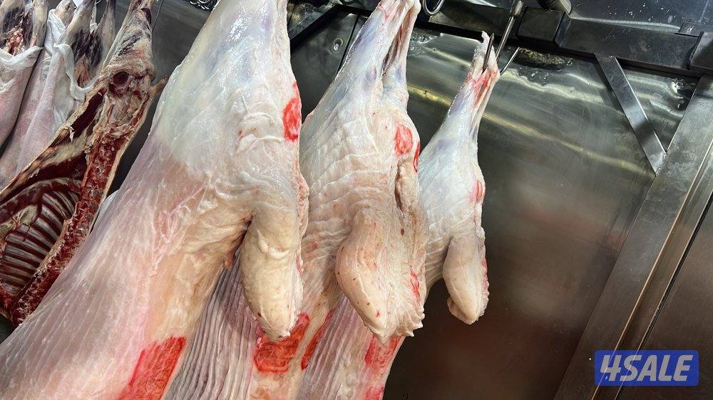 صقرالشامخ للحوم11