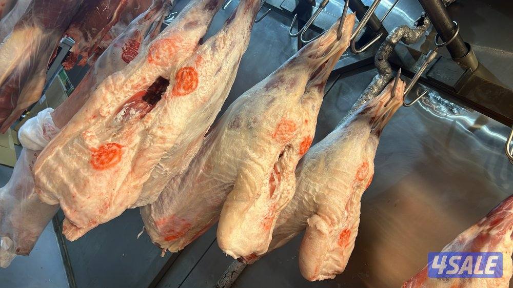 صقرالشامخ للحوم14