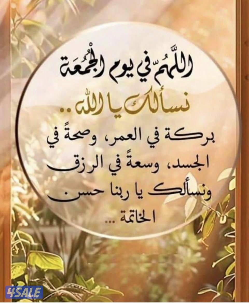 مدرس رياضيات وإحصاء للمرحلة الثانوية0