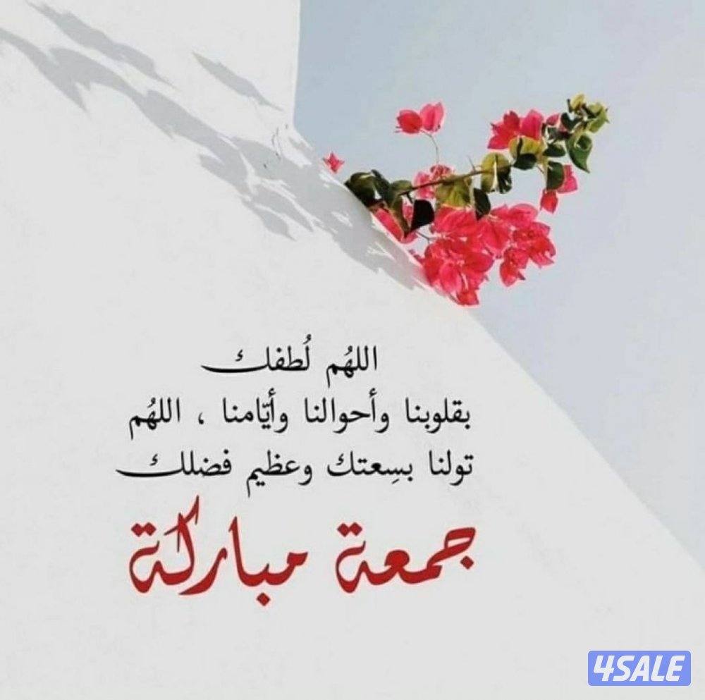 مدرس رياضيات وإحصاء للمرحلة الثانوية4