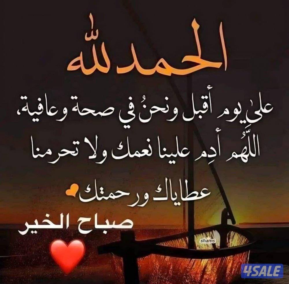 مدرس رياضيات وإحصاء للمرحلة الثانوية5