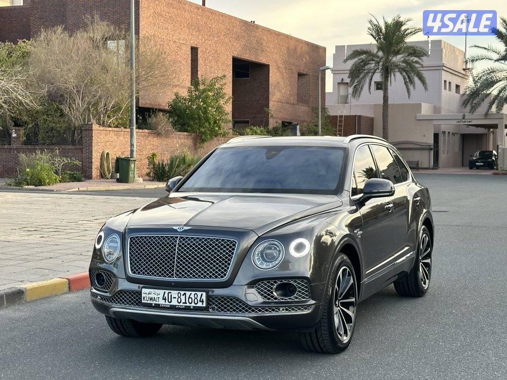 بينتايجا الزياني V121