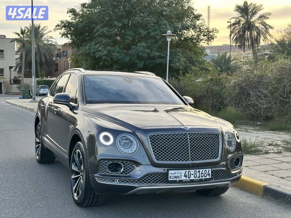 بينتايجا الزياني V122