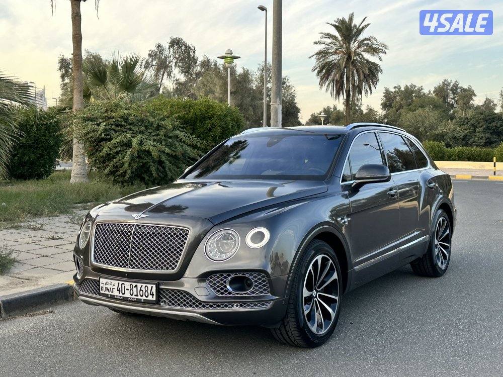 بينتايجا الزياني V125