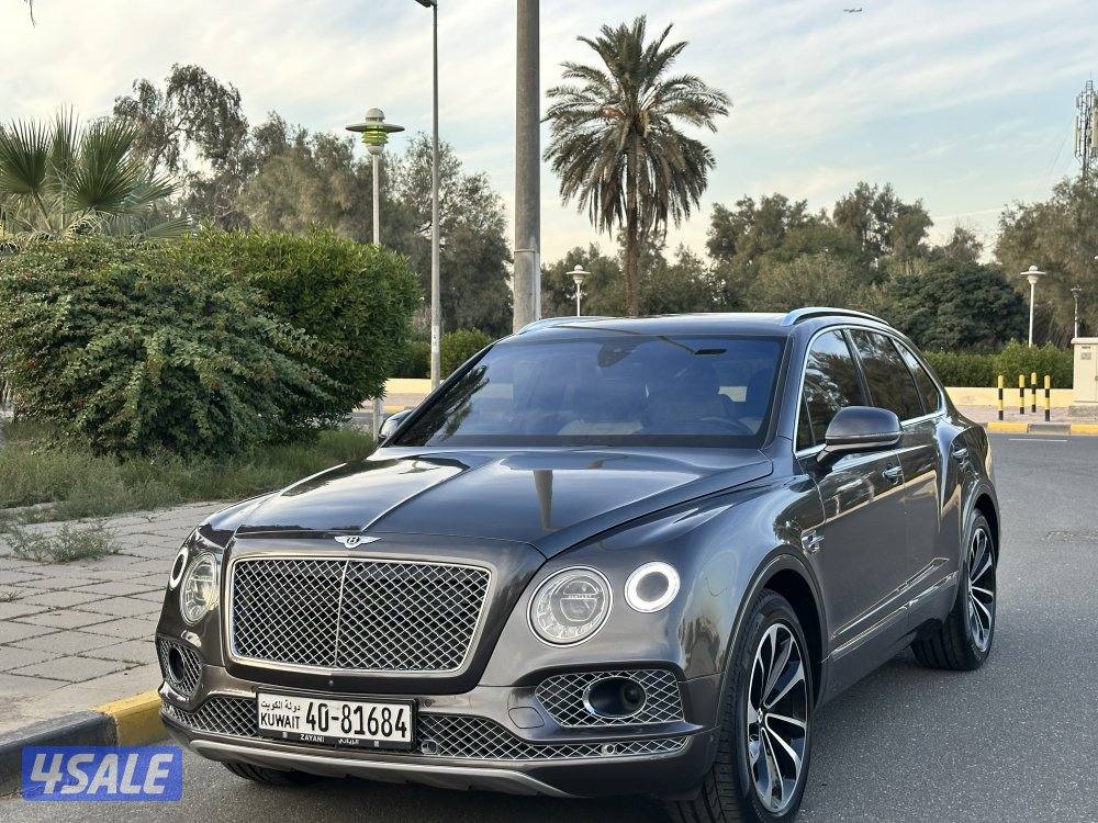 بينتايجا الزياني V126