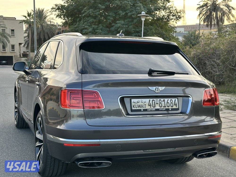 بينتايجا الزياني V127