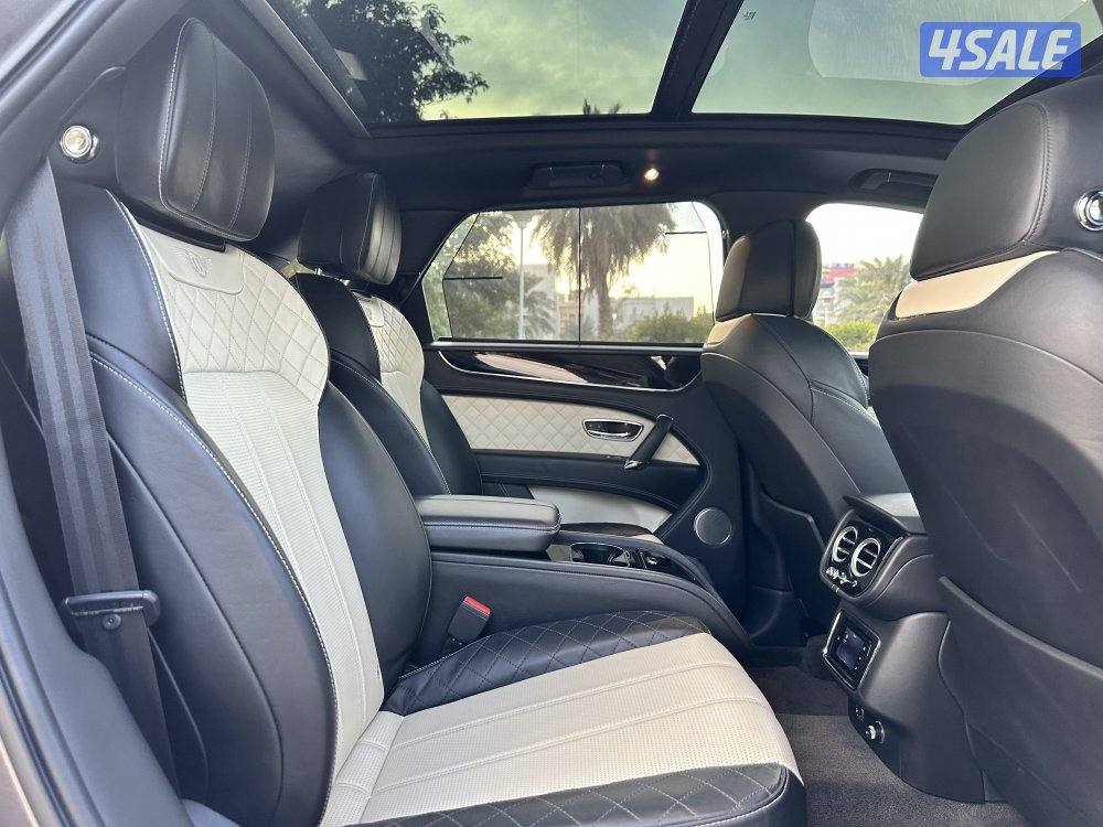 بينتايجا الزياني V129