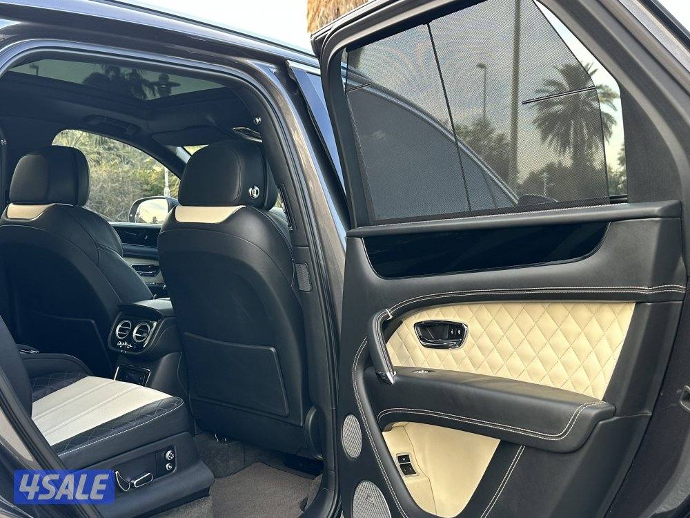 بينتايجا الزياني V1210