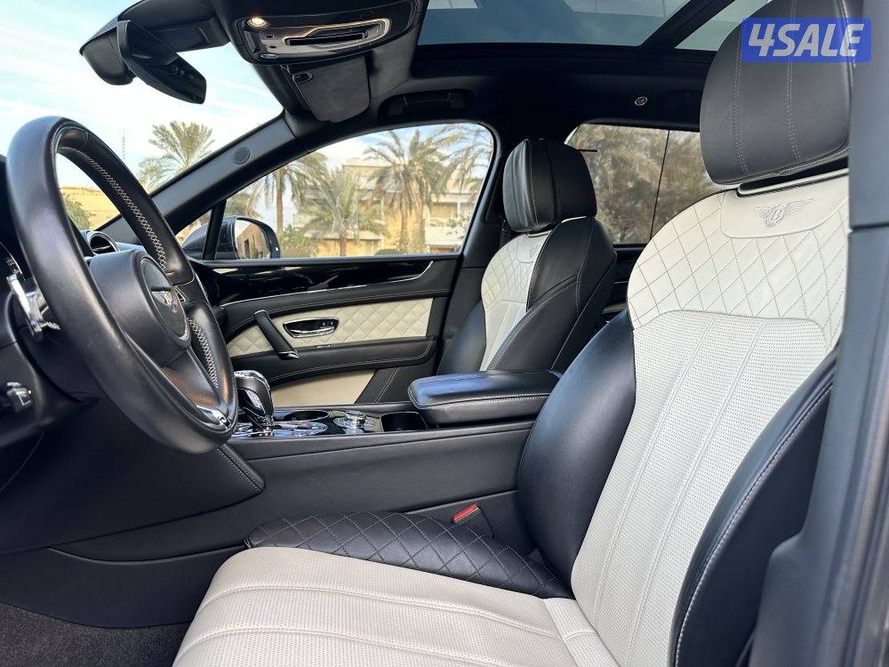 بينتايجا الزياني V1215