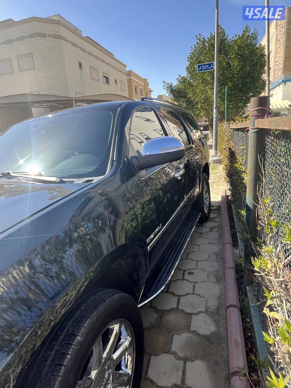 يوكن دينالي 20132