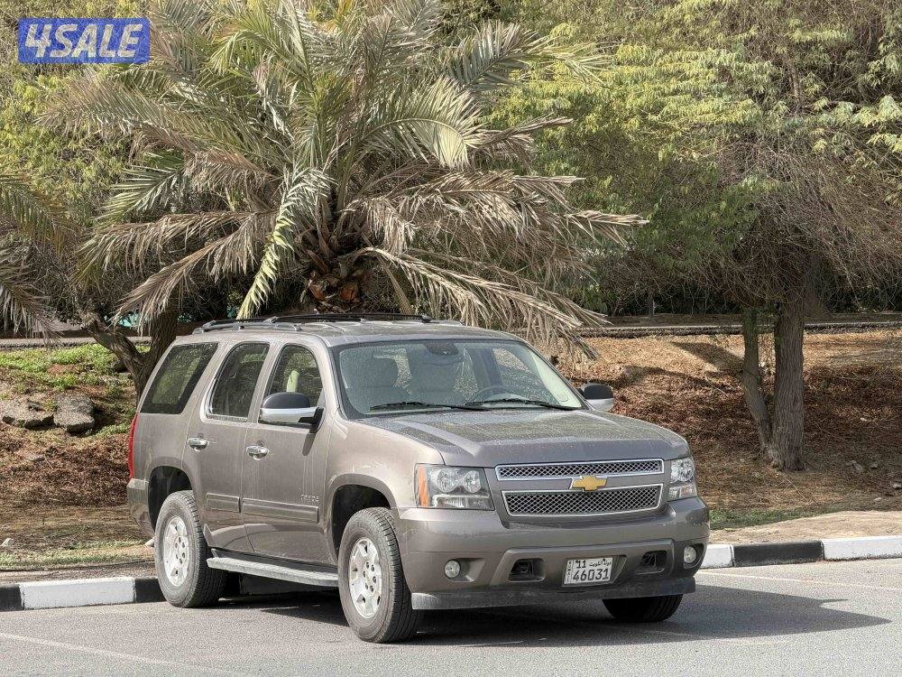 اللي يدور النظيف0