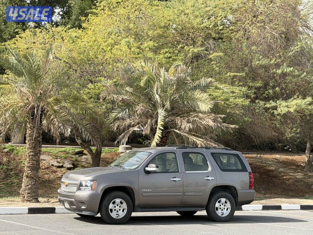 اللي يدور النظيف1