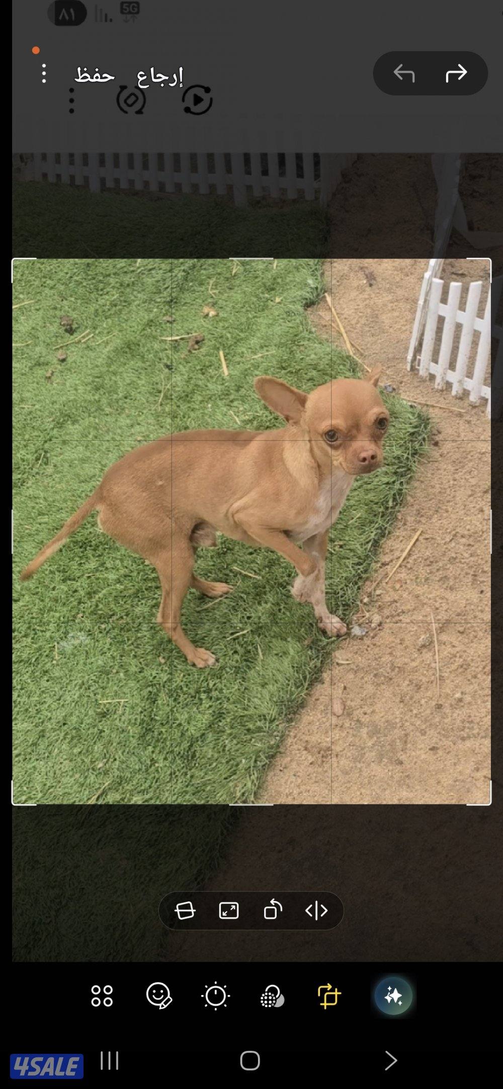 جابر العلي قطعه ٨0