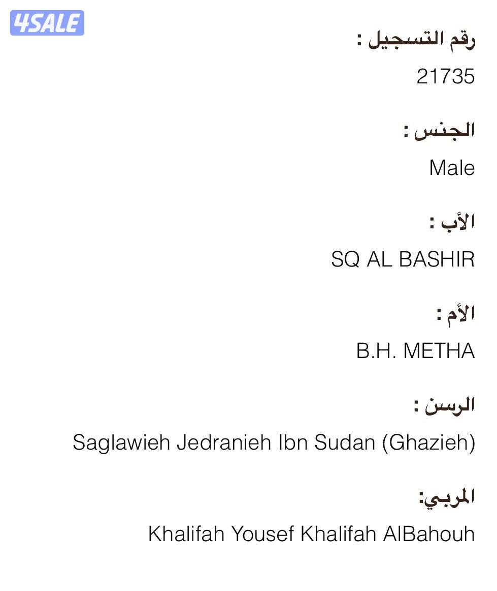 فلو بولش 20242