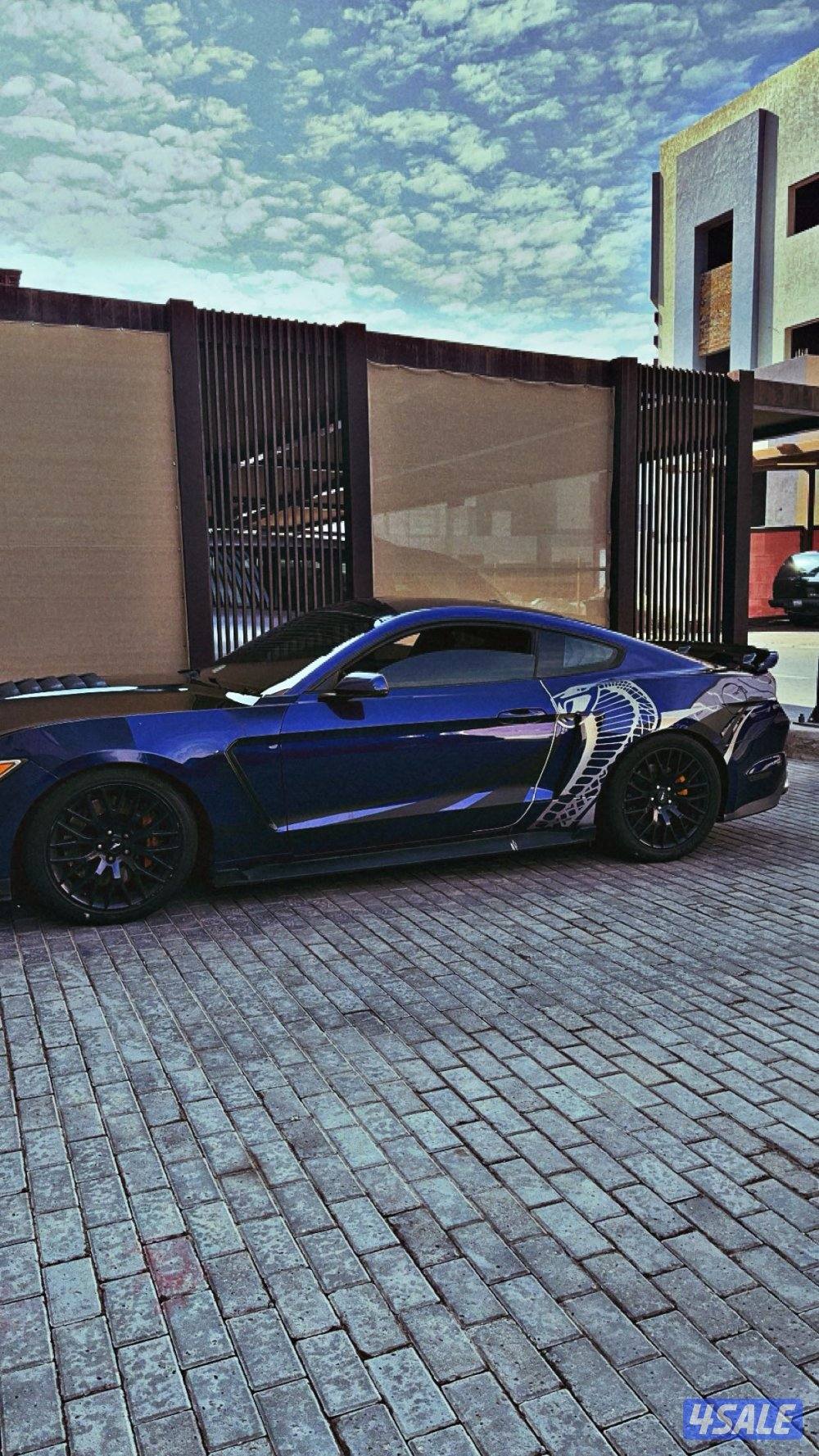 بريفورمنس باكج0