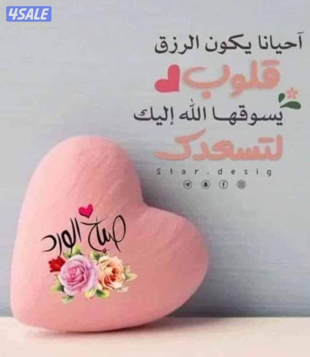 مدرس أول لغة عربية مصري 10خبرة سنوات بالكويت ثانوي متوسط تأسيس ابتدائي0