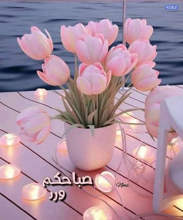 مدرس أول لغة عربية مصري 10خبرة سنوات بالكويت ثانوي متوسط تأسيس ابتدائي1