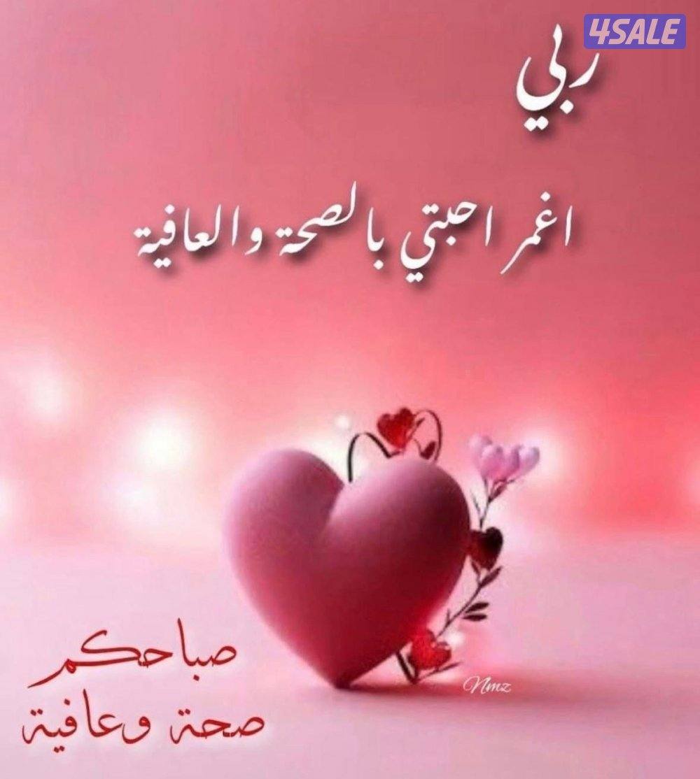 مدرس أول لغة عربية مصري 10خبرة سنوات بالكويت ثانوي متوسط تأسيس ابتدائي2