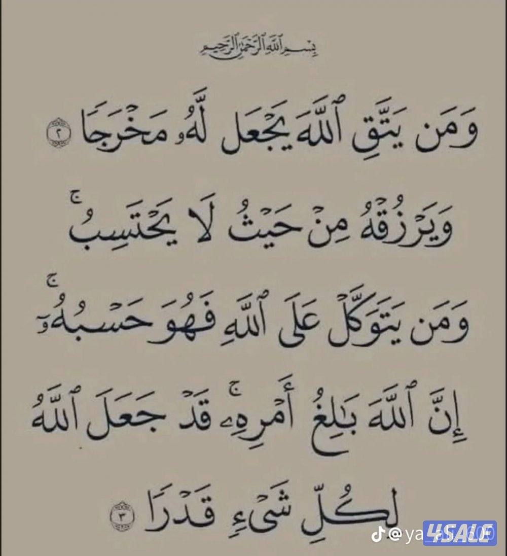 الزهراء و الصديق0