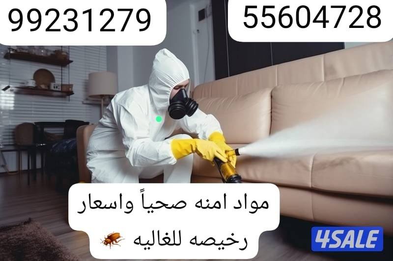 مكافحة حشرات وقوارض جميع مناطق الكويت خدمه 24ساعه  ارخص الأسعار0