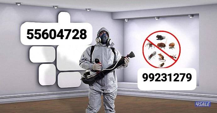 مكافحة حشرات وقوارض جميع مناطق الكويت خدمه 24ساعه  ارخص الأسعار1