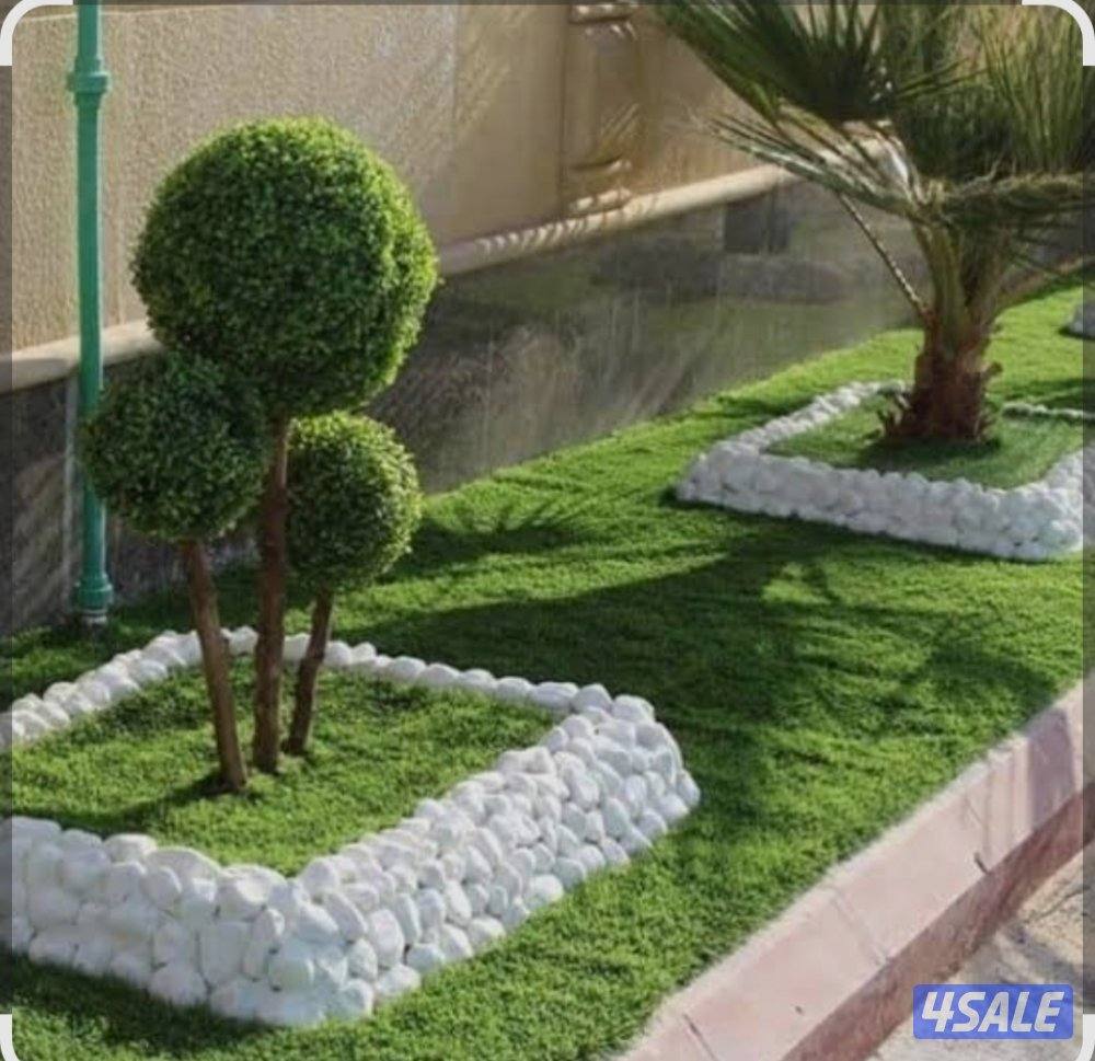 النخبة الرائدة للحدائق المنزلية والبلاط3