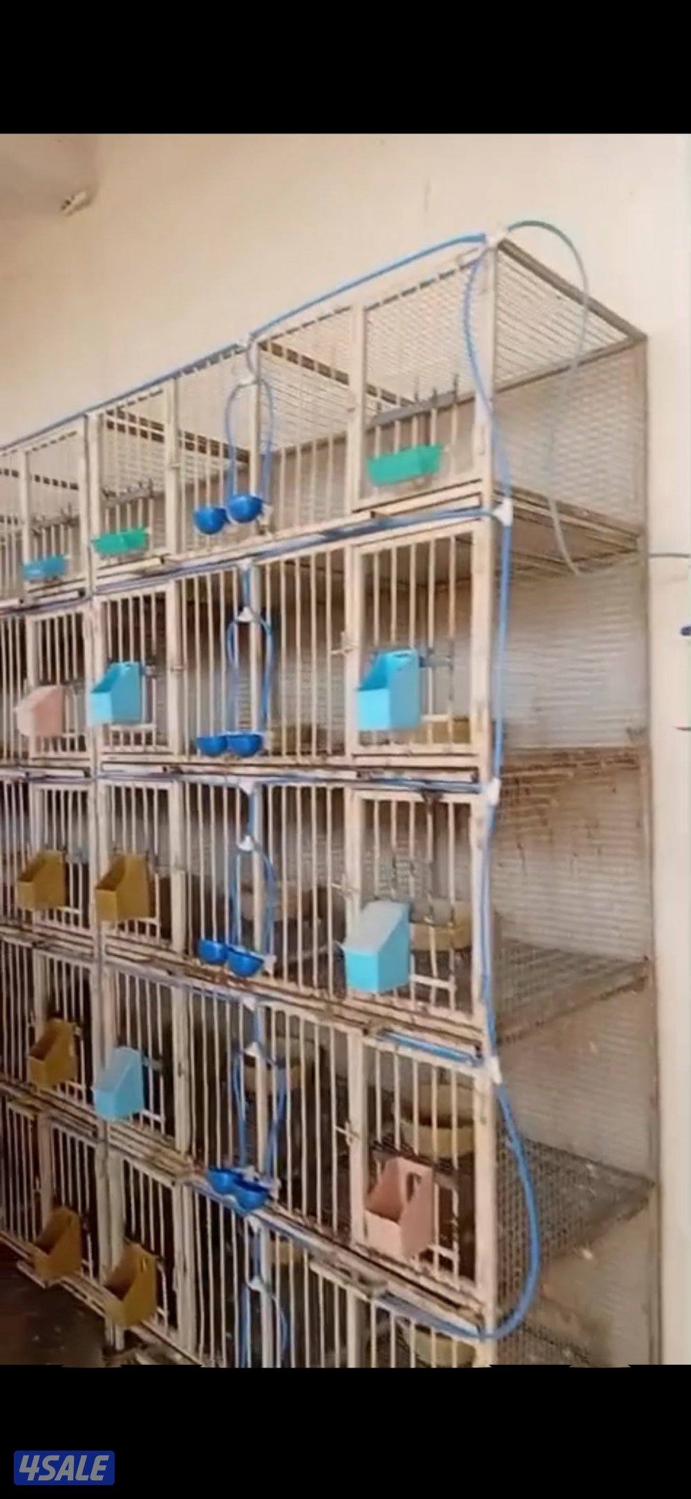 محكرت حمام فاخره0