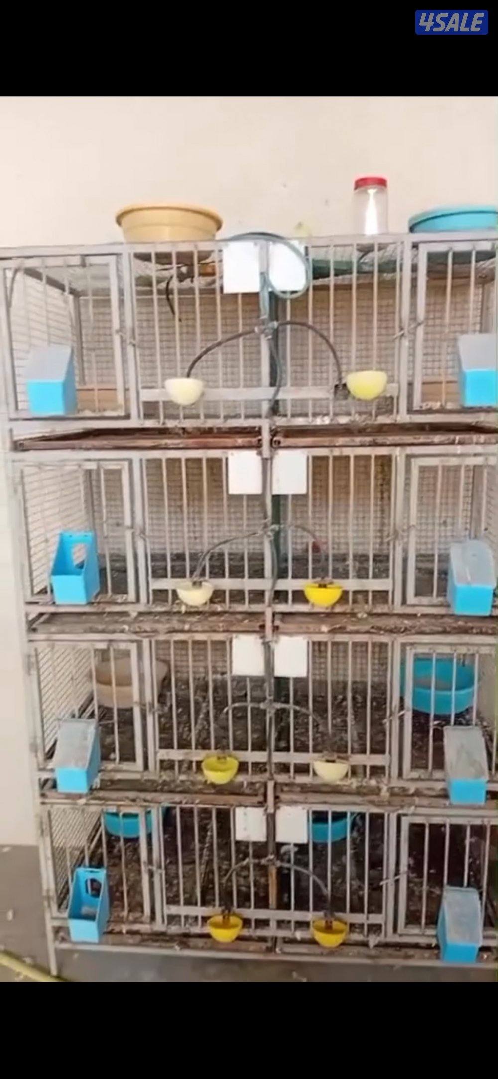 محكرت حمام فاخره1