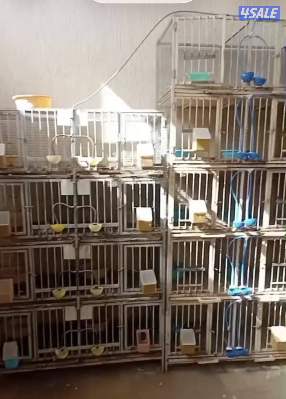 محكرت حمام فاخره2