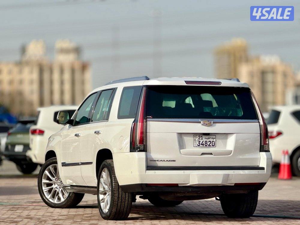 اسكاليد 2018 صبغ الوكاله شرط الفحص3