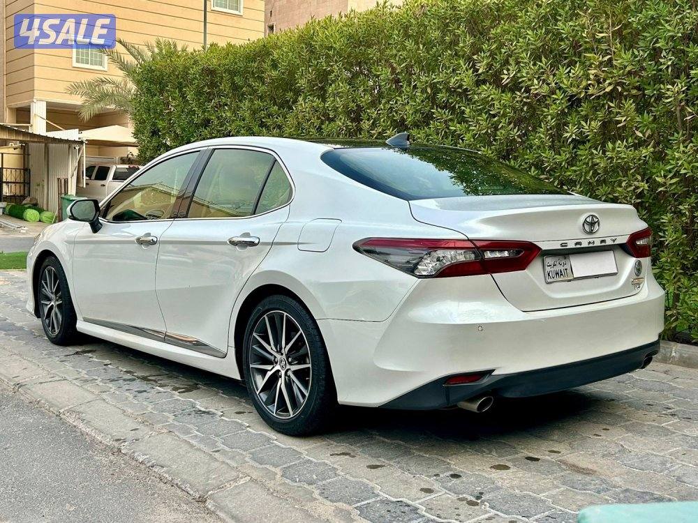 سيرفس مجاني لغاية ٢٠٢٧- عداد ٦١ الف3