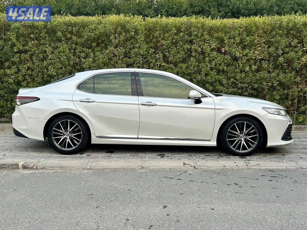 سيرفس مجاني لغاية ٢٠٢٧- عداد ٦١ الف5