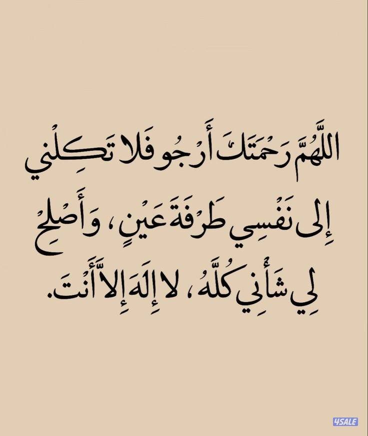 مطلوب محاسب خبره0