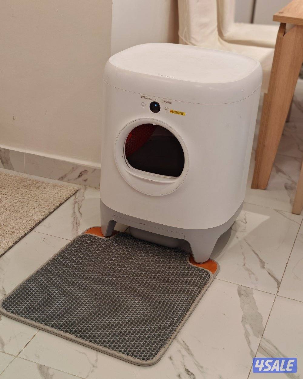 صباح السالم0